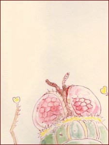 orb