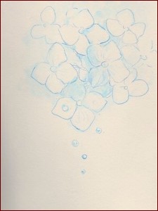 orb